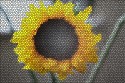 Don Quartey, Mosaic Tiles (Sun Flower)