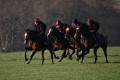 Ian Anderson, In the Gallops