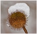 Snowy Hat, Jim Vaughn