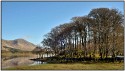 Wally Conquy, Copse on Loch Awe