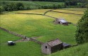 Roy King, Swaledale