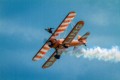 Wing Walking, Mike Farley