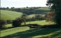 Tranquil Dartmoor, Wally Conquy