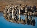 Tina Nuthall, Refreshing Waterhole