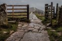 Frank Edwards, On The Path Beyond Mam Tor