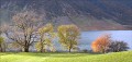 Roy King: By Crummock Water