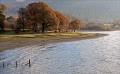 Roy King: Golden Trees by Derwent Water