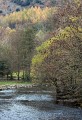 Roy King: River Rothay