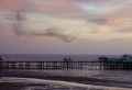 Mike Day, Starlings at Dusk