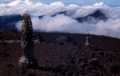 Plants in Haleakala Crater Maui