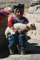 Ashley Shepherd, Peruvian Shepherd