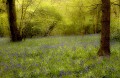 Mike Farley, Bluebells