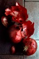 Rex Bamber, Onions 2