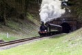 Ron Barker, Bluebell Railway 6