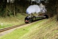 Ron Barker, Bluebell Railway 8