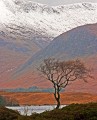 Roy King, Rannoch Moor