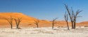 Deadvlei, Steve Brooker