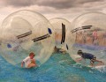 Nina Ludwig, Zorbing