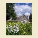 Nina Ludwig, Christ Church College in Bloom